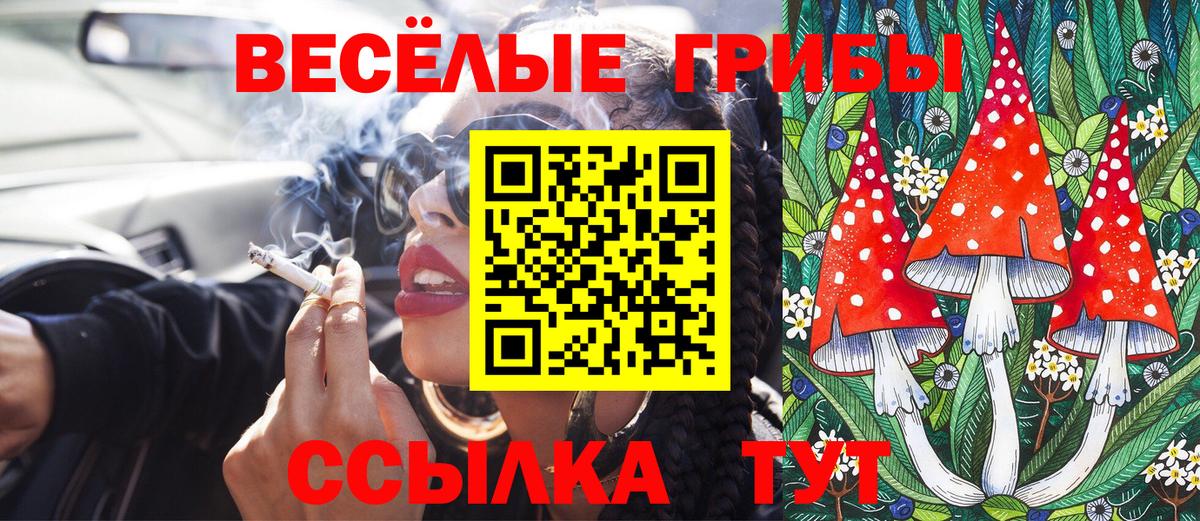 Псилоцибиновые грибы Cubensis  Вход с VPN  Жуковский 